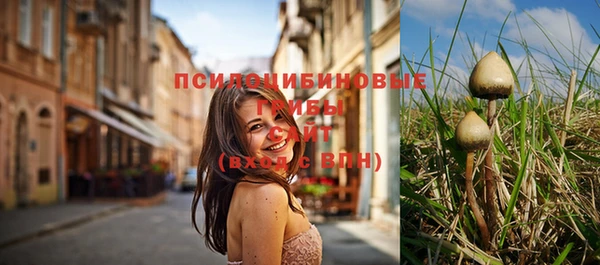трава Абинск